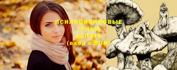 прущая мука Богданович
