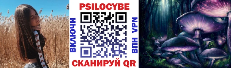 kraken сайт  Оха  Галлюциногенные грибы Cubensis 